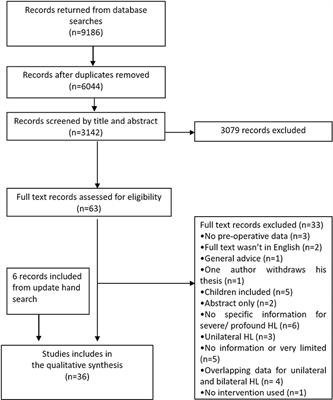 Experience of tinnitus in adults who have severe-to-profound hearing loss: A scoping review